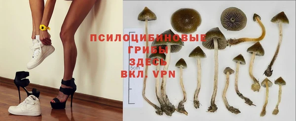 ALPHA-PVP Ростов