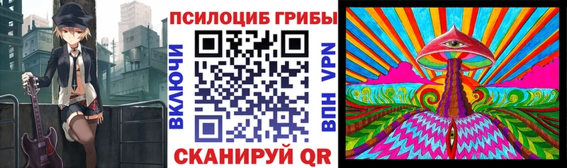 OMG ONION  Салаир  Псилоцибиновые грибы MAGIC MUSHROOMS 